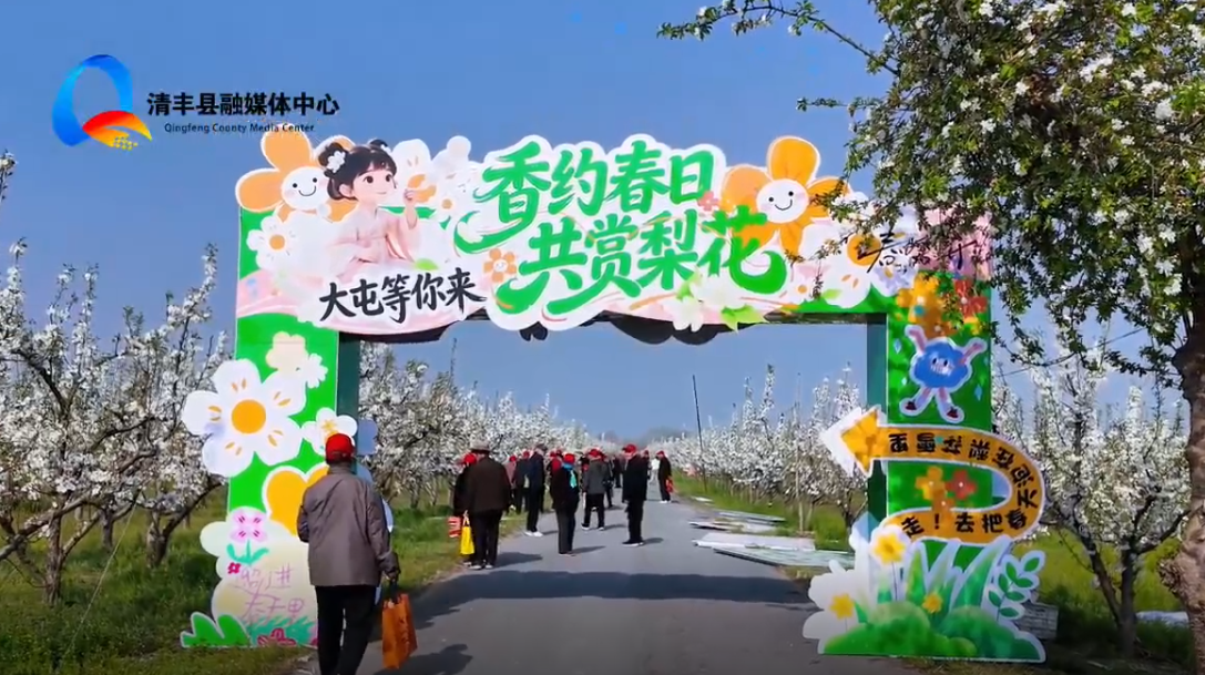 大屯乡--香约春日，共赏梨花